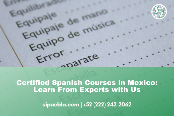 Certified Spanish Courses in Mexico: Learn From Experts with Us